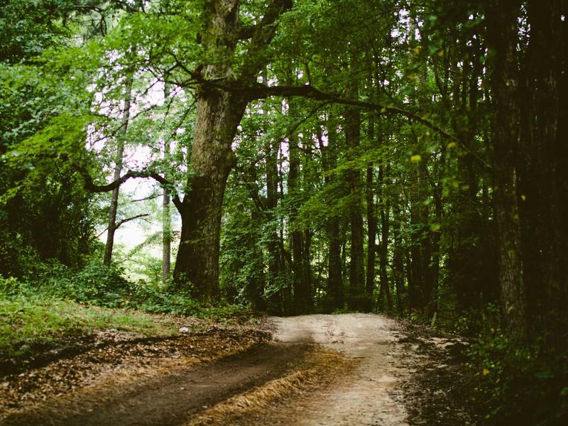 sudoku senior friendly screenshot 5