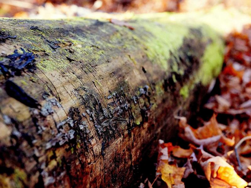 sudoku senior friendly screenshot 3